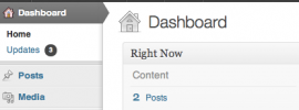Wordpress Vorschau Update
