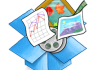 Dropbox Pro Icon